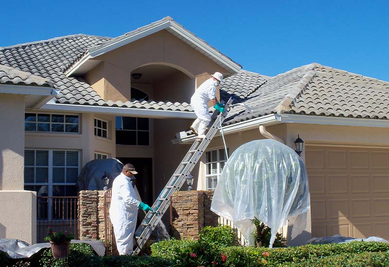 Malllard roof cleaning specialists prep a home