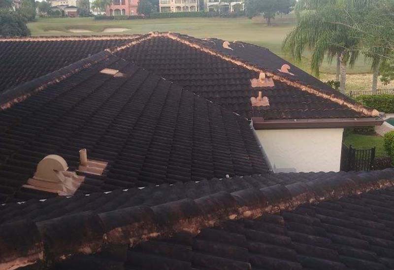 Tile roof of apartment before roof cleaning
