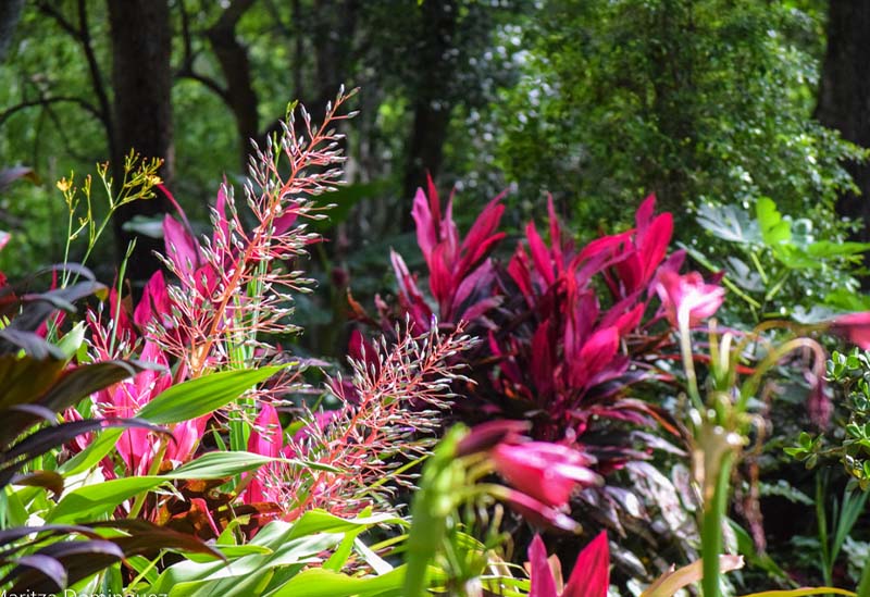 Mead Botanical Garden, Winter Park