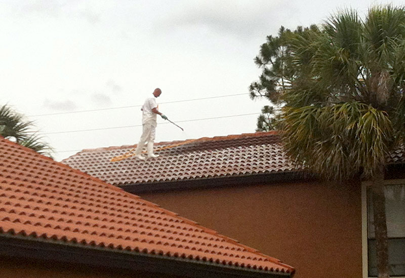 Mallard specialist using softwashing process to clean roof