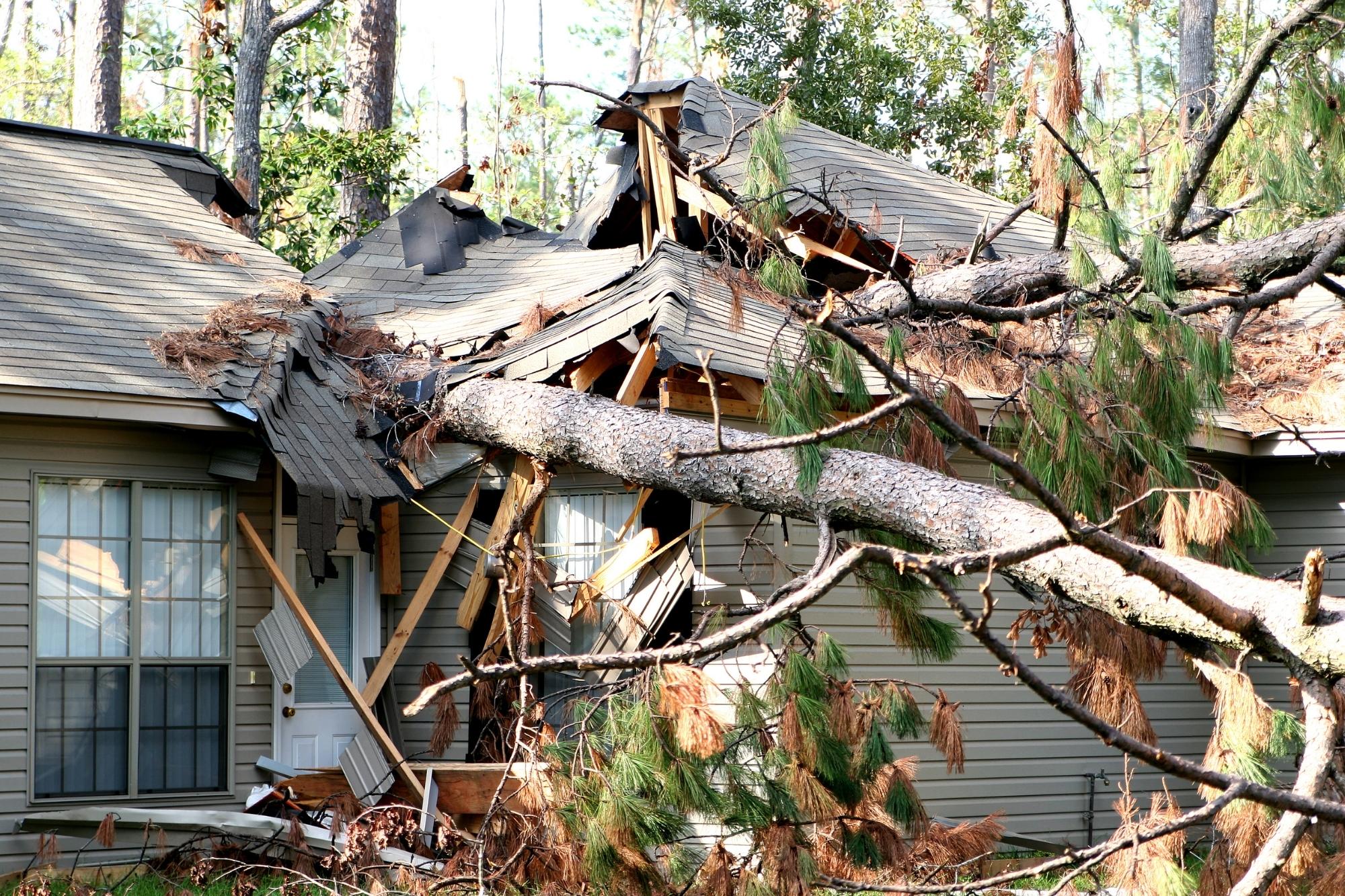 storm debris removal