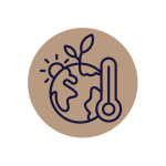 Climate Icon